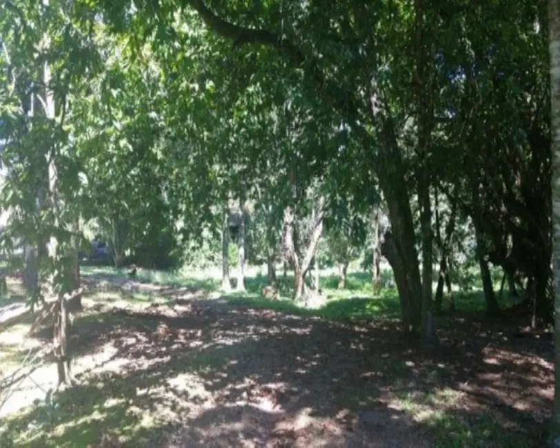 Casa com 4 quartos à venda, 170m2 em Nova Petropolis - RS - imagem 6 Foto 6 de Casa com 4 quartos à venda, 170m2 em Nova Petropolis - RS