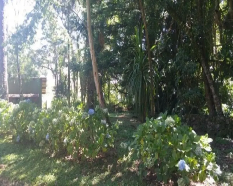 Casa com 4 quartos à venda, 170m2 em Nova Petropolis - RS - imagem 4 Foto 4 de Casa com 4 quartos à venda, 170m2 em Nova Petropolis - RS