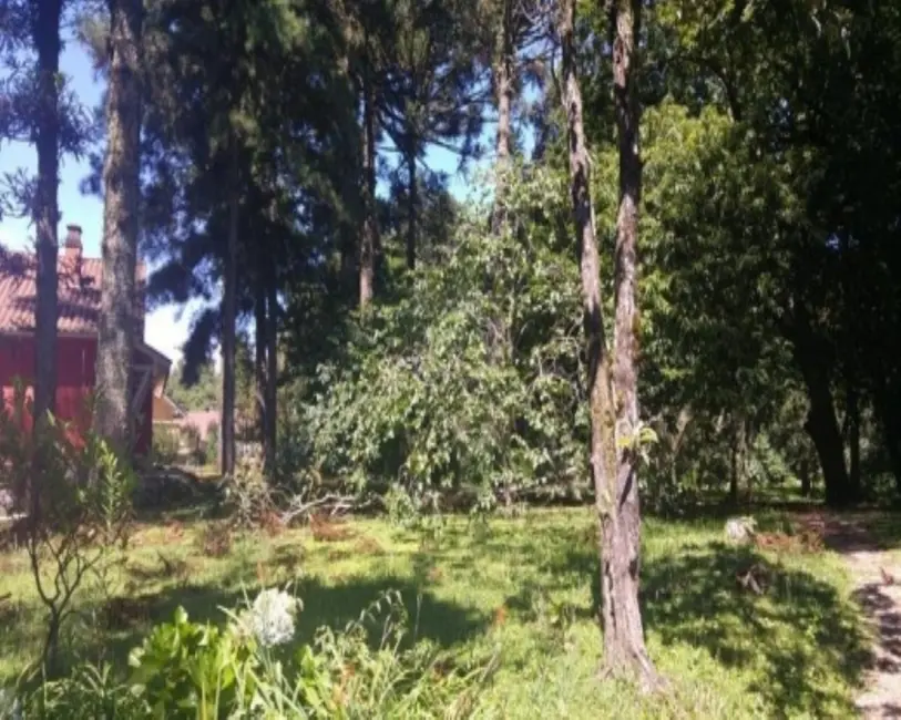 Casa com 4 quartos à venda, 170m2 em Nova Petropolis - RS - imagem 5 Foto 5 de Casa com 4 quartos à venda, 170m2 em Nova Petropolis - RS