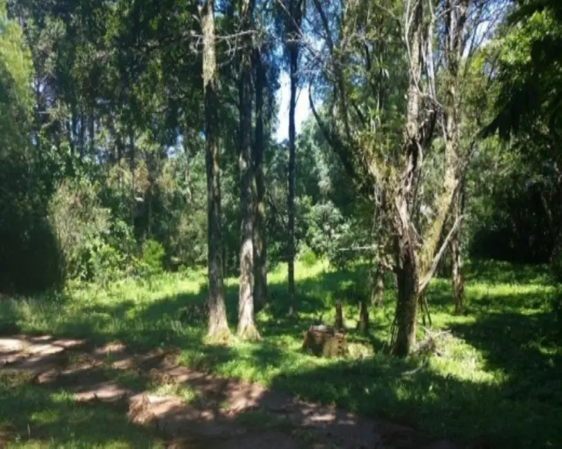 Casa com 4 quartos à venda, 170m2 em Nova Petropolis - RS - imagem 8 Foto 8 de Casa com 4 quartos à venda, 170m2 em Nova Petropolis - RS