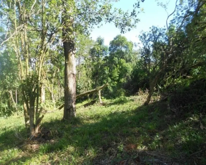 Terreno / Lote à venda, 15000m2 em Centro, Nova Petropolis - RS - imagem 4 Foto 4 de Terreno / Lote à venda, 15000m2 em Centro, Nova Petropolis - RS