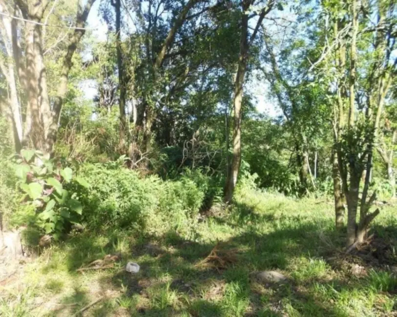 Terreno / Lote à venda, 15000m2 em Centro, Nova Petropolis - RS - imagem 5 Foto 5 de Terreno / Lote à venda, 15000m2 em Centro, Nova Petropolis - RS
