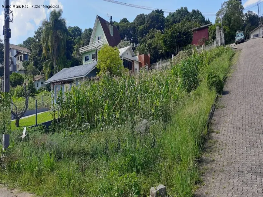 Foto 2 de Terreno / Lote à venda, 420m2 em Nova Petropolis - RS