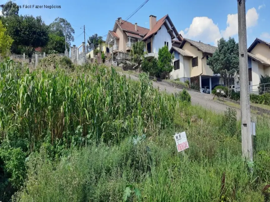 Terreno / Lote à venda, 420m2 em Nova Petropolis - RS - imagem 3 Foto 3 de Terreno / Lote à venda, 420m2 em Nova Petropolis - RS