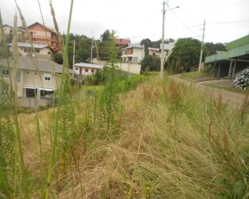 Terreno / Lote à venda, 450m2 em Nova Petropolis - RS - imagem 5 Foto 5 de Terreno / Lote à venda, 450m2 em Nova Petropolis - RS