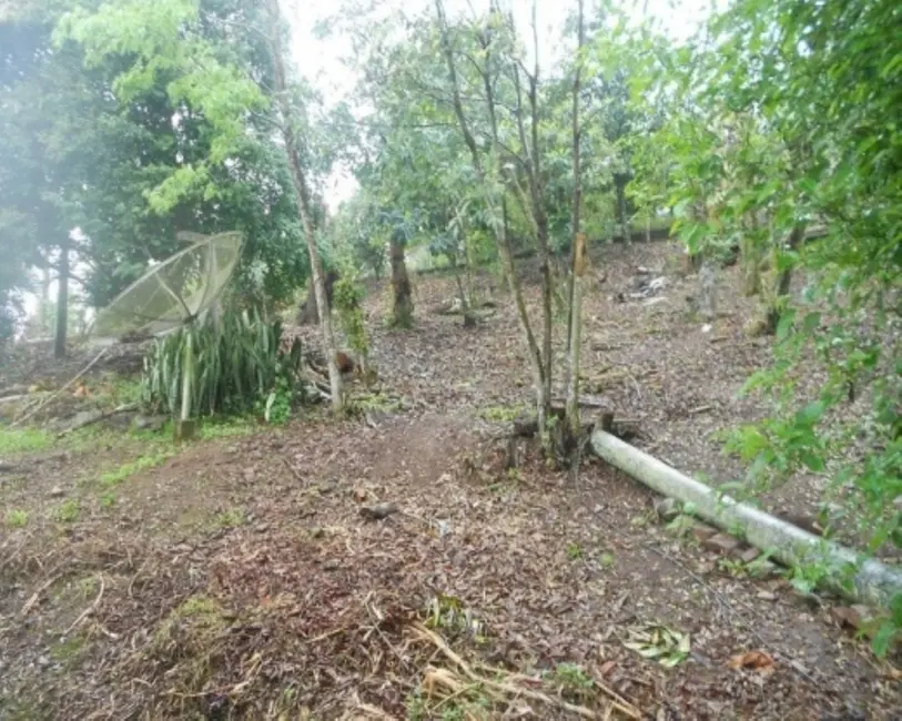 Casa com 5 quartos à venda, 192m2 em Picada Cafe - RS - imagem 5 Foto 5 de Casa com 5 quartos à venda, 192m2 em Picada Cafe - RS