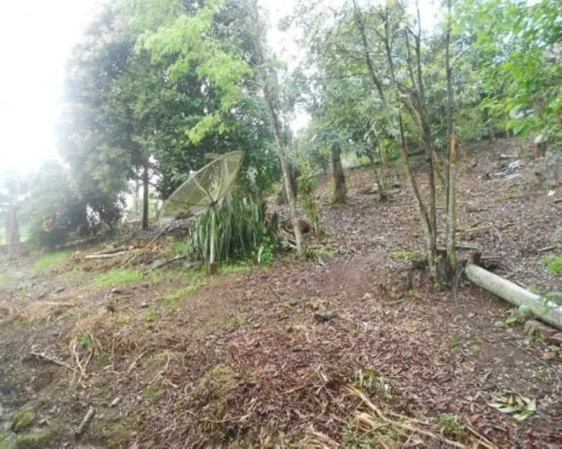 Casa com 5 quartos à venda, 192m2 em Picada Cafe - RS - imagem 6 Foto 6 de Casa com 5 quartos à venda, 192m2 em Picada Cafe - RS