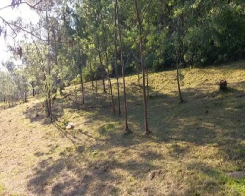 Terreno / Lote à venda em Nova Petropolis - RS - imagem 7 Foto 7 de Terreno / Lote à venda em Nova Petropolis - RS
