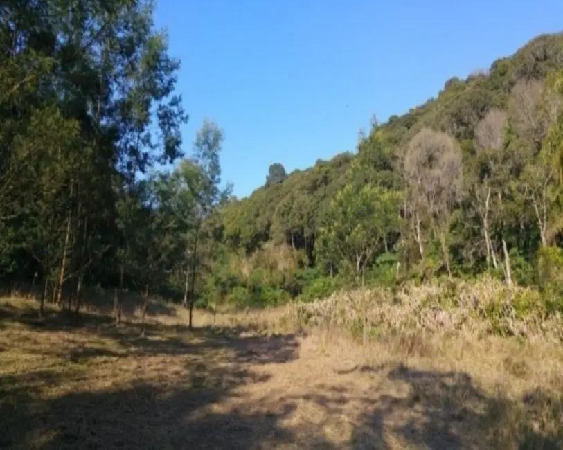 Foto 1 de Terreno / Lote à venda em Nova Petropolis - RS