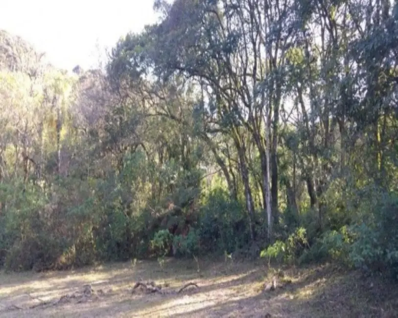 Terreno / Lote à venda em Nova Petropolis - RS - imagem 4 Foto 4 de Terreno / Lote à venda em Nova Petropolis - RS
