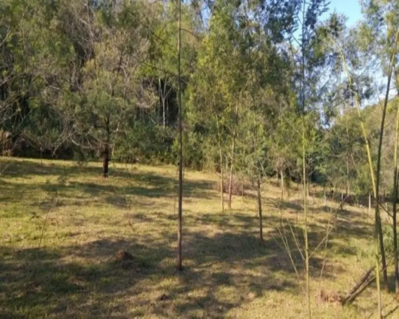 Terreno / Lote à venda em Nova Petropolis - RS - imagem 3 Foto 3 de Terreno / Lote à venda em Nova Petropolis - RS