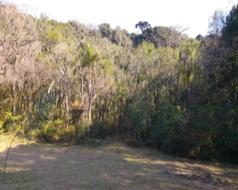 Terreno / Lote à venda em Nova Petropolis - RS - imagem 5 Foto 5 de Terreno / Lote à venda em Nova Petropolis - RS