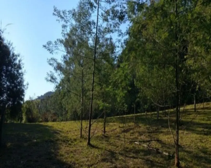 Foto 2 de Terreno / Lote à venda em Nova Petropolis - RS