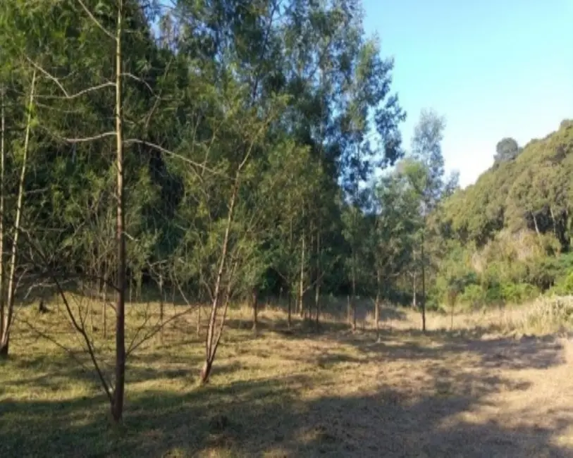 Terreno / Lote à venda em Nova Petropolis - RS - imagem 8 Foto 8 de Terreno / Lote à venda em Nova Petropolis - RS