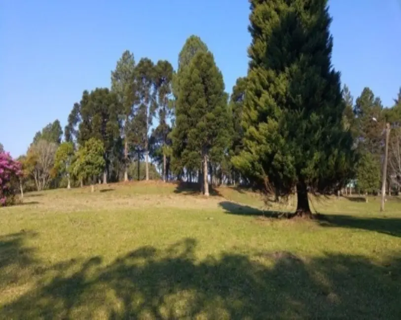 Foto 4 de Sítio / Rancho com 2 quartos à venda, 110m2 em Nova Petropolis - RS