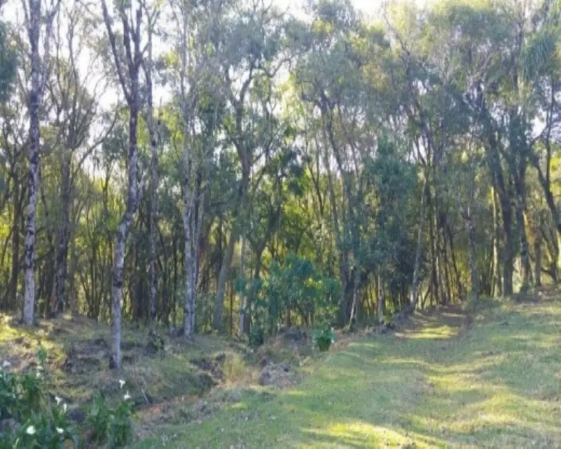 Foto 6 de Sítio / Rancho com 2 quartos à venda, 110m2 em Nova Petropolis - RS