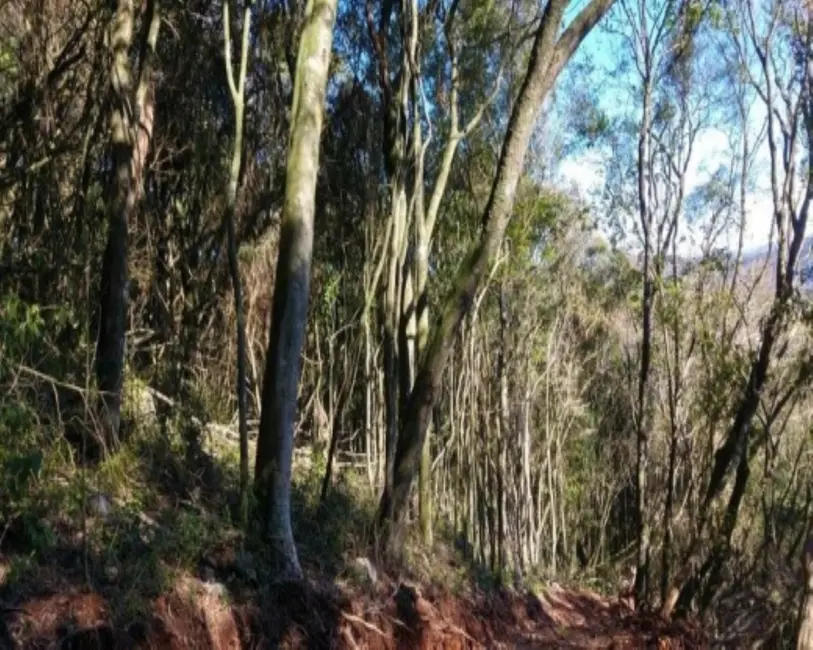 Foto 5 de Terreno / Lote à venda, 6210m2 em Nova Petropolis - RS