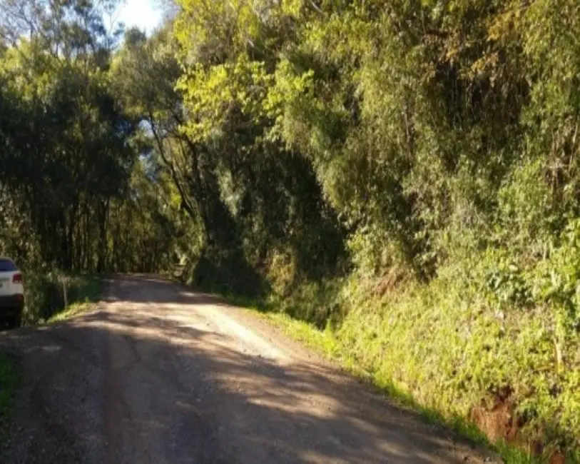 Foto 3 de Terreno / Lote à venda, 6210m2 em Nova Petropolis - RS
