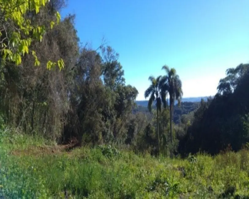 Foto 4 de Terreno / Lote à venda, 6210m2 em Nova Petropolis - RS