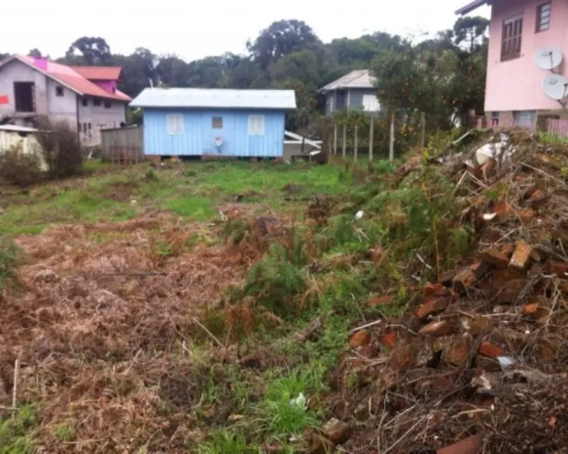 Foto 2 de Terreno / Lote à venda, 450m2 em Nova Petropolis - RS