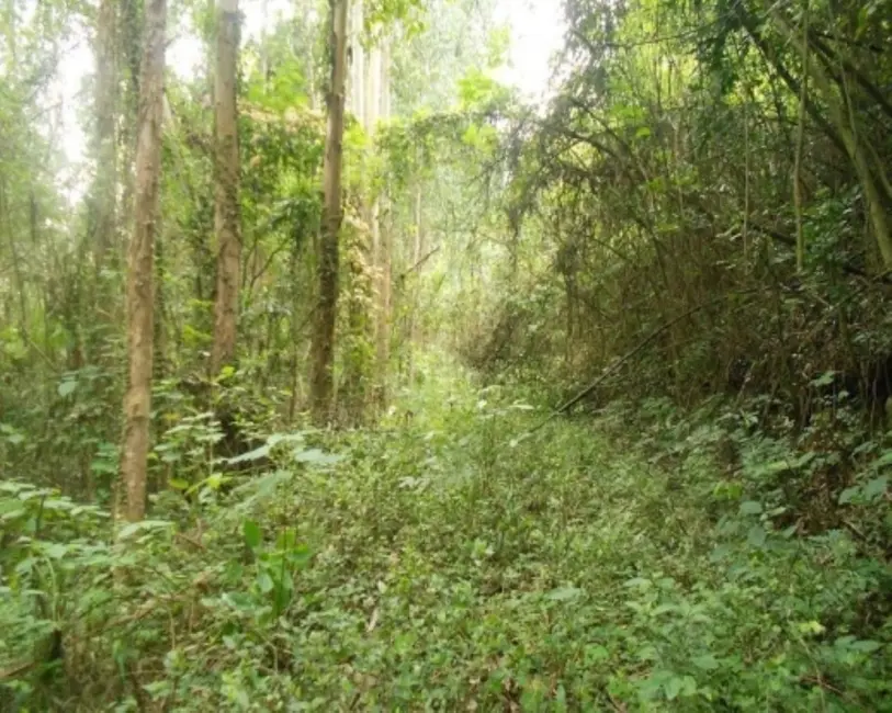 Terreno / Lote à venda, 190000m2 em Nova Petropolis - RS - imagem 5 Foto 5 de Terreno / Lote à venda, 190000m2 em Nova Petropolis - RS