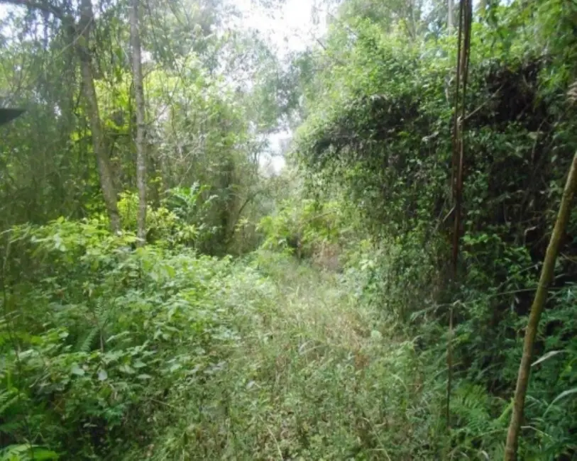 Terreno / Lote à venda, 190000m2 em Nova Petropolis - RS - imagem 9 Foto 9 de Terreno / Lote à venda, 190000m2 em Nova Petropolis - RS