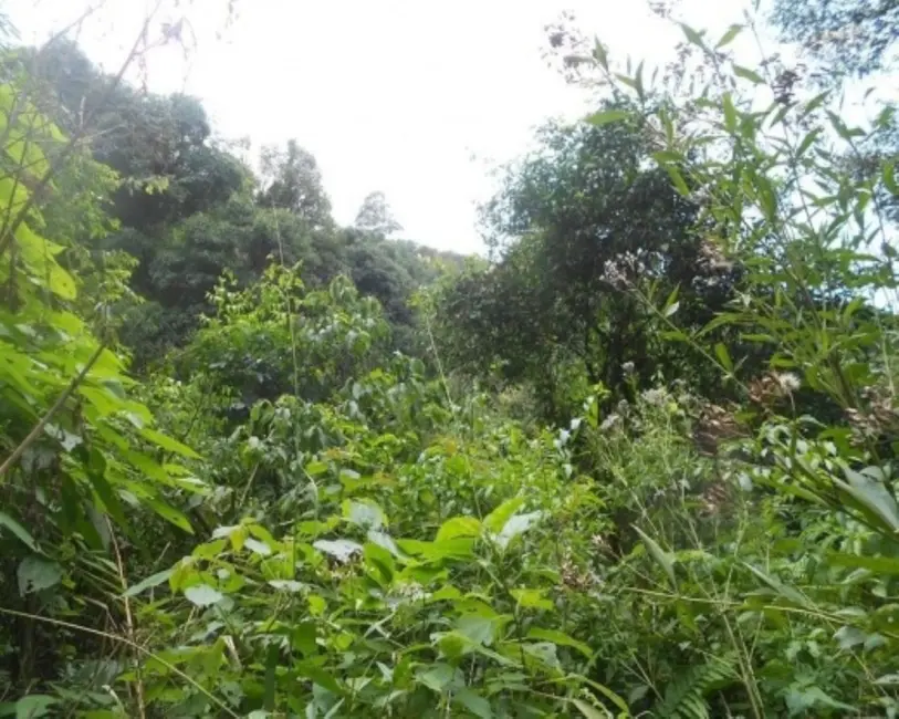 Terreno / Lote à venda, 190000m2 em Nova Petropolis - RS - imagem 7 Foto 7 de Terreno / Lote à venda, 190000m2 em Nova Petropolis - RS
