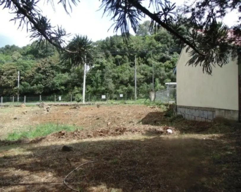 Foto 3 de Terreno / Lote à venda, 875m2 em Várzea Grande, Gramado - RS