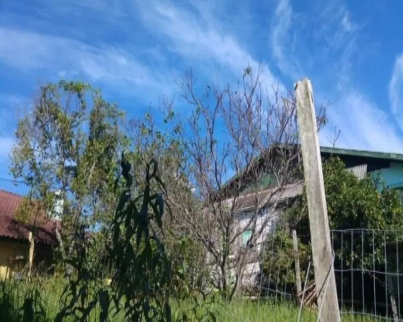 Foto 5 de Casa com 3 quartos à venda, 100m2 em Nova Petropolis - RS