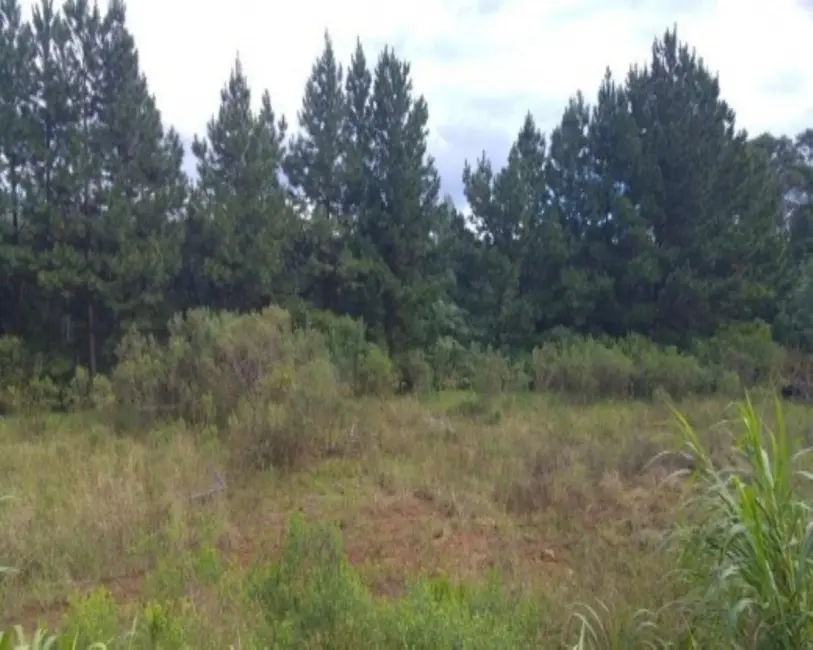 Terreno / Lote à venda, 2779m2 em Nova Petropolis - RS - imagem 4 Foto 4 de Terreno / Lote à venda, 2779m2 em Nova Petropolis - RS