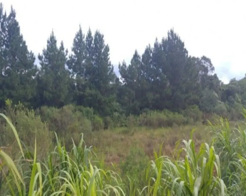 Terreno / Lote à venda, 2779m2 em Nova Petropolis - RS - imagem 1 Foto 1 de Terreno / Lote à venda, 2779m2 em Nova Petropolis - RS