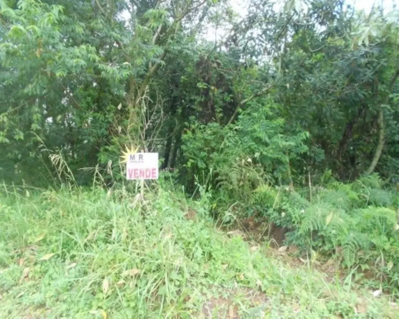 Terreno / Lote à venda, 900m2 em Nova Petropolis - RS - imagem 3 Foto 3 de Terreno / Lote à venda, 900m2 em Nova Petropolis - RS
