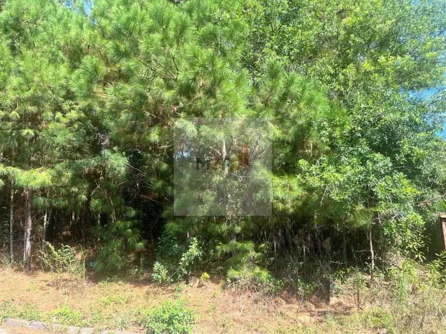 Foto 1 de Terreno / Lote à venda, 1066m2 em Nova Petropolis - RS