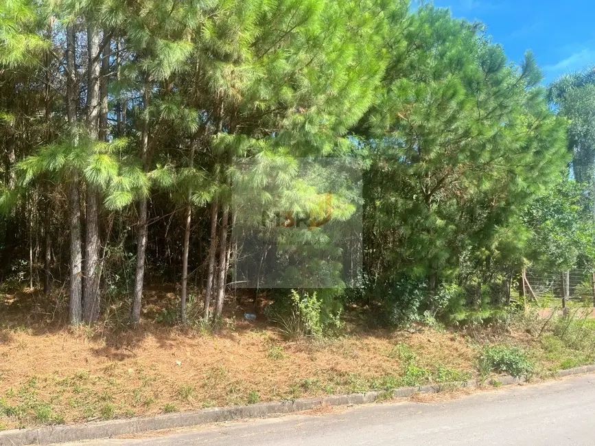 Foto 2 de Terreno / Lote à venda, 1066m2 em Nova Petropolis - RS