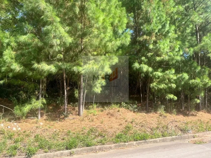 Foto 1 de Terreno / Lote à venda, 1137m2 em Nova Petropolis - RS