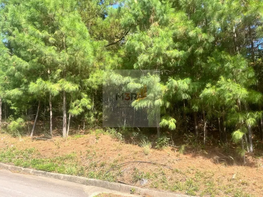 Foto 2 de Terreno / Lote à venda, 1137m2 em Nova Petropolis - RS