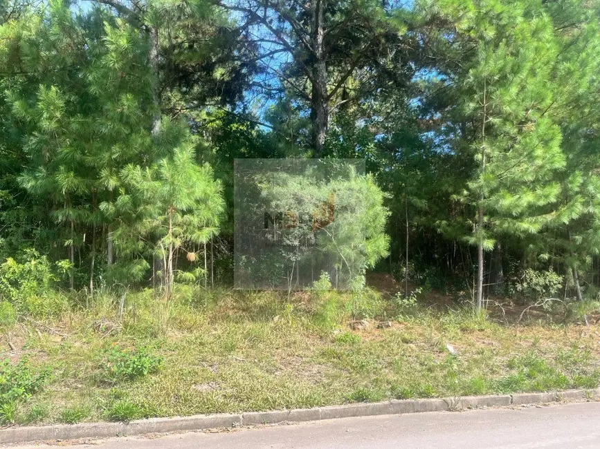 Foto 2 de Terreno / Lote à venda, 1189m2 em Nova Petropolis - RS