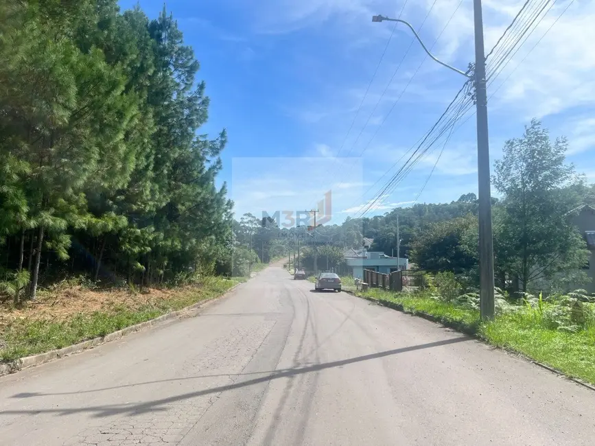 Foto 3 de Terreno / Lote à venda, 1189m2 em Nova Petropolis - RS