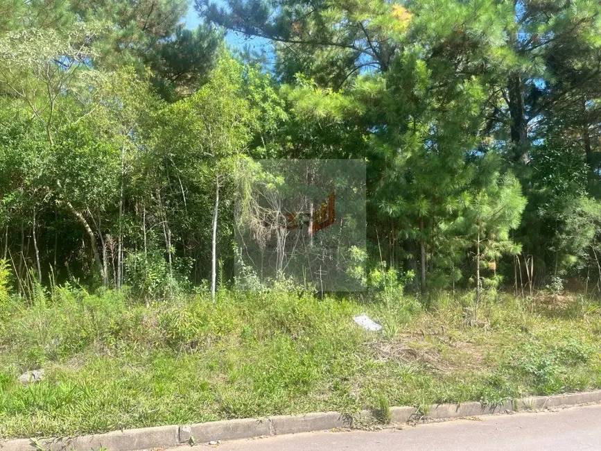 Foto 2 de Terreno / Lote à venda, 1235m2 em Nova Petropolis - RS