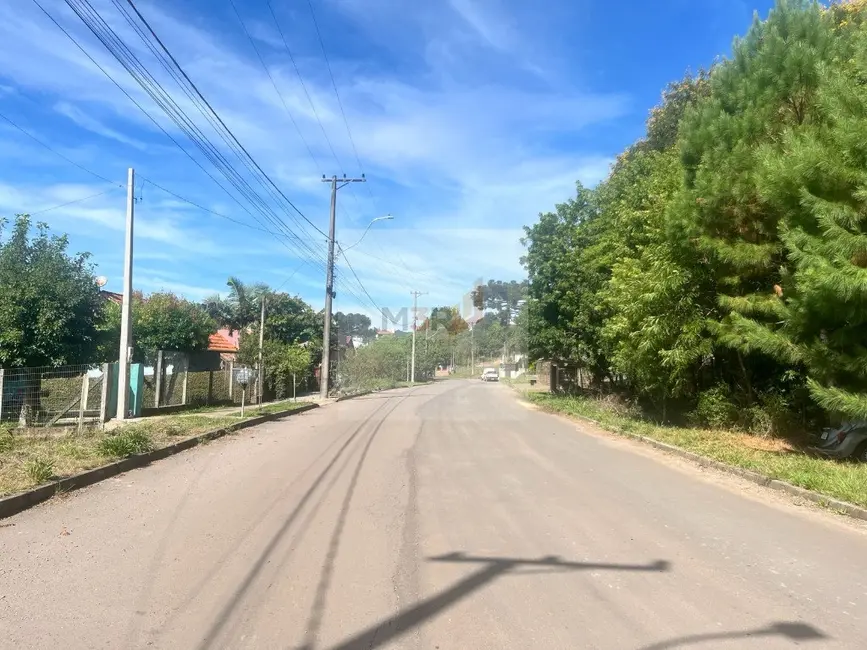 Foto 3 de Terreno / Lote à venda, 1267m2 em Nova Petropolis - RS