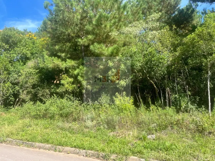 Foto 2 de Terreno / Lote à venda, 1267m2 em Nova Petropolis - RS