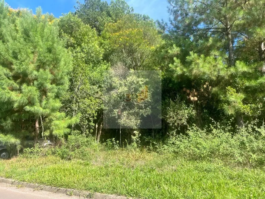 Foto 1 de Terreno / Lote à venda, 1287m2 em Nova Petropolis - RS