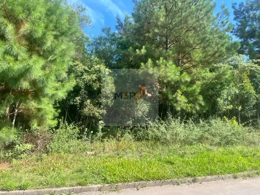 Foto 2 de Terreno / Lote à venda, 1287m2 em Nova Petropolis - RS