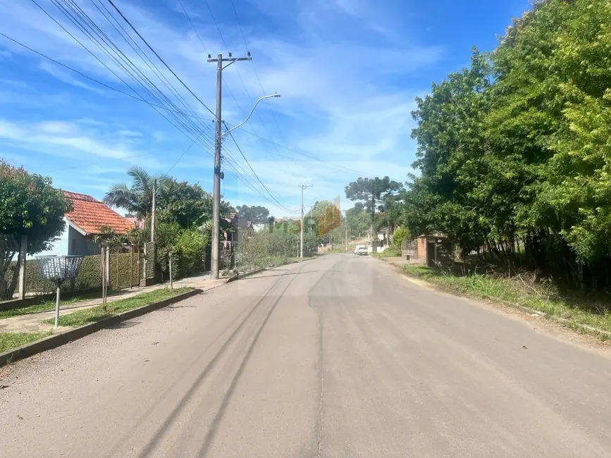 Foto 3 de Terreno / Lote à venda, 1287m2 em Nova Petropolis - RS