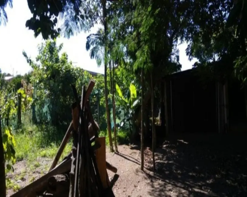 Foto 2 de Terreno / Lote à venda em Nova Petropolis - RS
