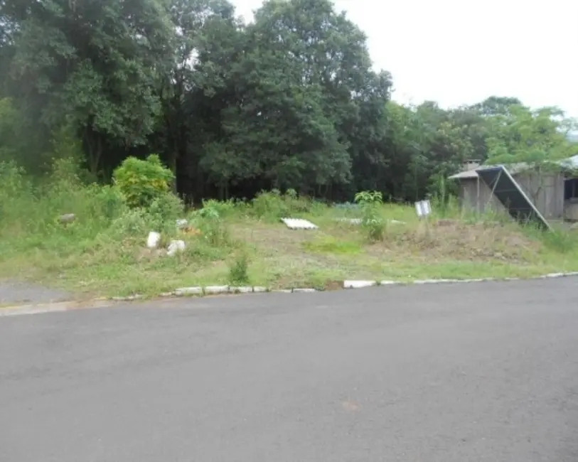 Terreno / Lote à venda, 988m2 em Picada Cafe - RS - imagem 3 Foto 3 de Terreno / Lote à venda, 988m2 em Picada Cafe - RS