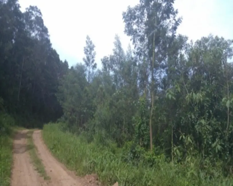 Terreno / Lote à venda em Nova Petropolis - RS - imagem 2 Foto 2 de Terreno / Lote à venda em Nova Petropolis - RS