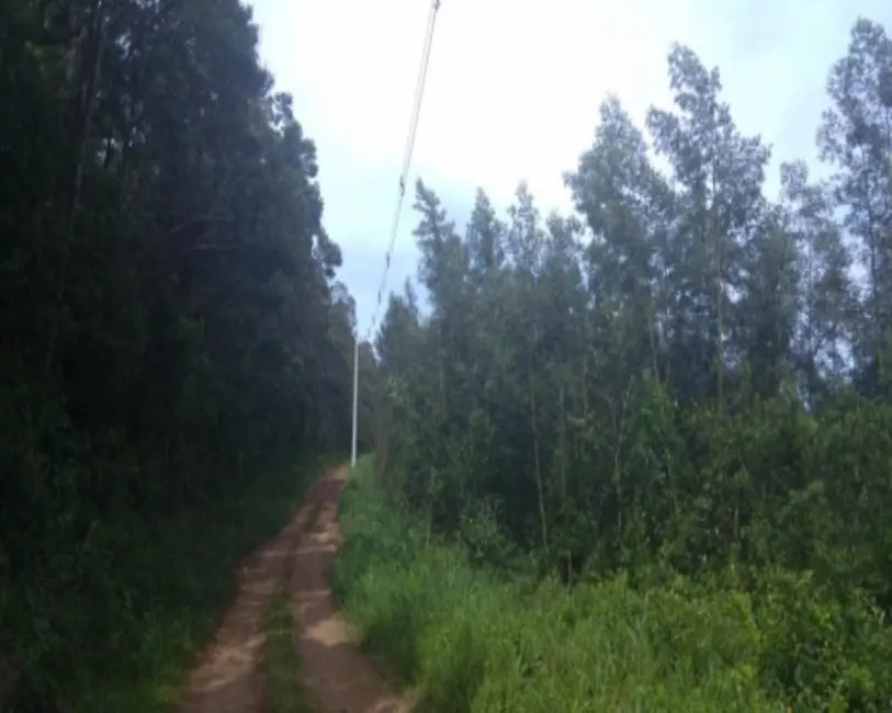 Terreno / Lote à venda em Nova Petropolis - RS - imagem 1 Foto 1 de Terreno / Lote à venda em Nova Petropolis - RS