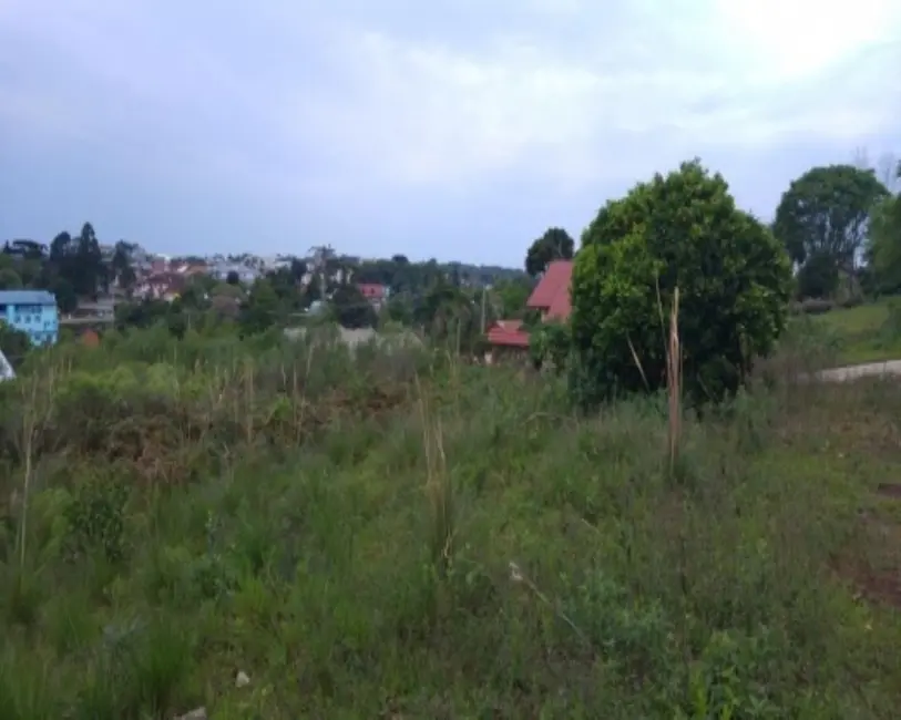 Foto 4 de Terreno / Lote à venda, 504m2 em Nova Petropolis - RS