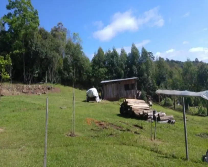 Foto 2 de Chácara com 2 quartos à venda em Nova Petropolis - RS